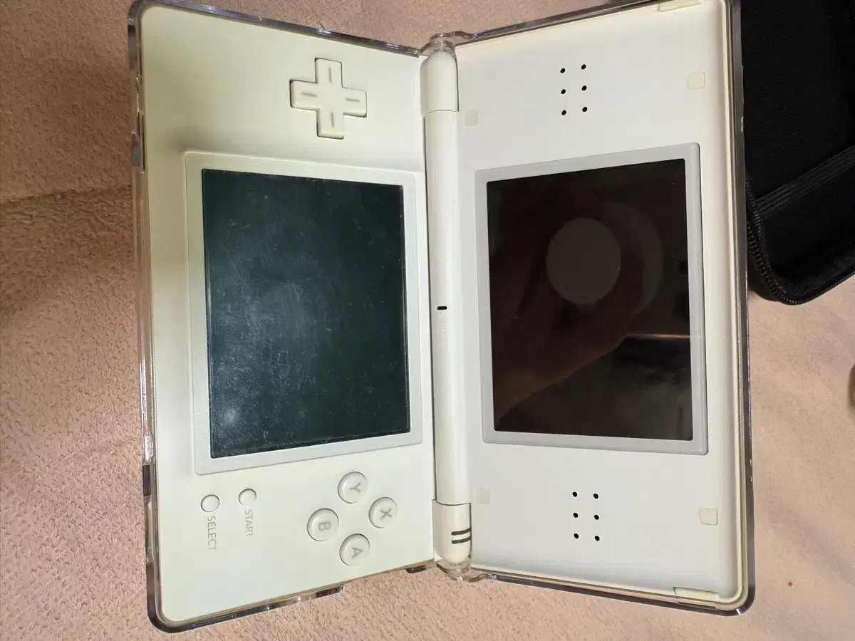 닌텐도 ds lite / 칩